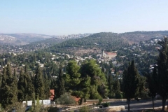 Ein Karem3