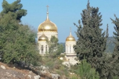 Ein Karem4